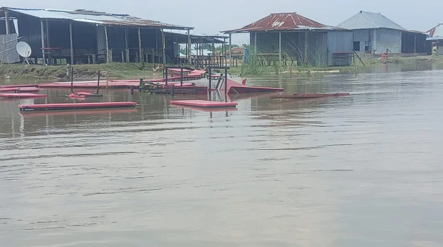 পদ্মার ভাঙনে বাঘায় নদীগর্ভে ৩ স্কুল, দুর্ভোগে ২০ হাজার মানুষ