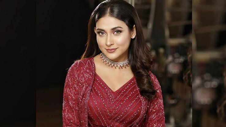 ‘খলনায়ক’-এ অতিথি চরিত্রে মেহজাবীন