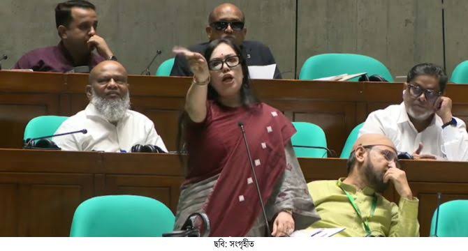 দুর্নীতি নিয়ে বিএনপির বিরুদ্ধে পুরোনো অভিযোগের পুনরাবৃত্তি হবে না: রুমিন ফারহানা