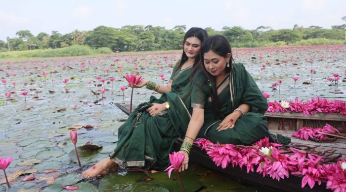 সাতলার শাপলা বিলে যুক্ত হচ্ছে নতুন পর্যটন অবকাঠামো