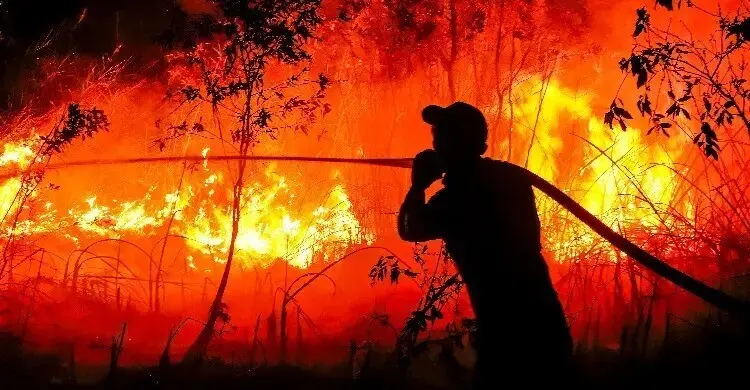 ইন্দোনেশিয়ায় দাবানলের ধোঁয়ায় সেপ্টেম্বরে ৩ হাজার ৫৬০ জনের মৃত্যু