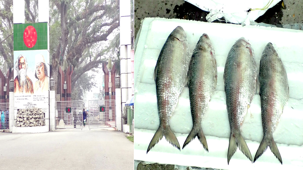 ভারতীয় ইলিশের ১০৩ এনওসি বাতিল, বন্ধ হলো আমদানি